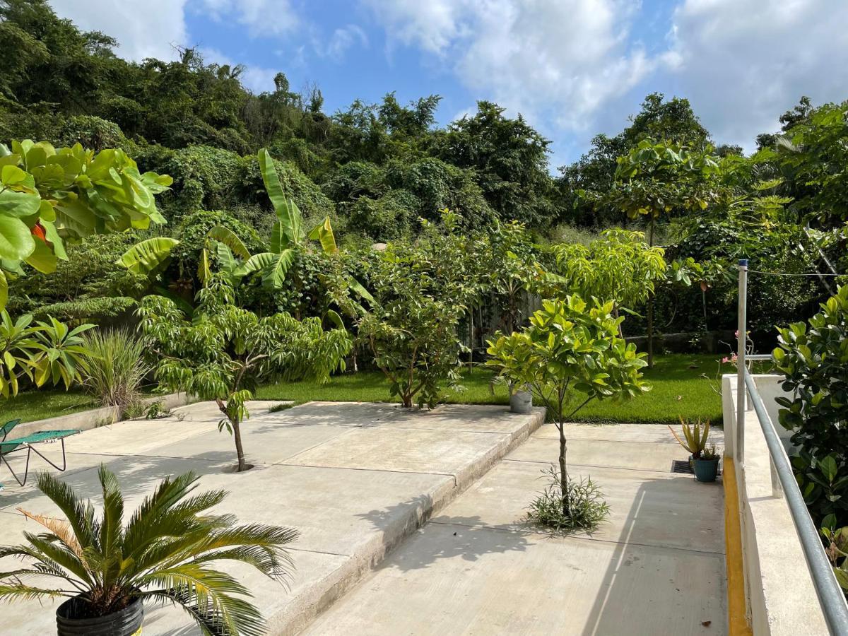 Amanecer Villa Sayulita Exteriör bild